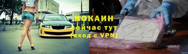 прущие грибы Арсеньев
