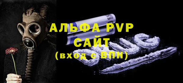 PSILOCYBIN Балабаново