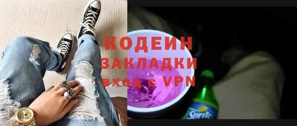 сатива Новодвинск