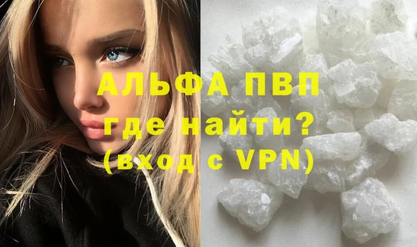 PSILOCYBIN Балабаново