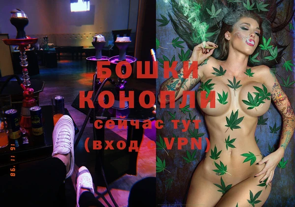 PSILOCYBIN Балабаново