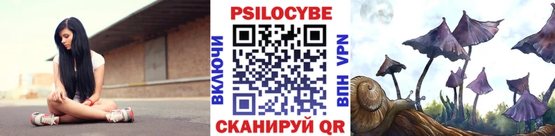 omg зеркало  Соль-Илецк  Псилоцибиновые грибы Magic Shrooms 