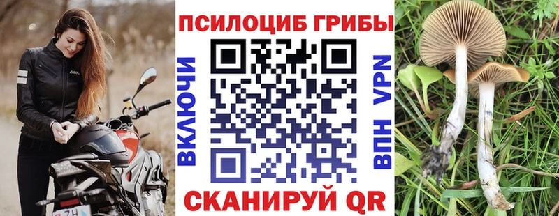 Псилоцибиновые грибы Psilocybine cubensis Соль-Илецк